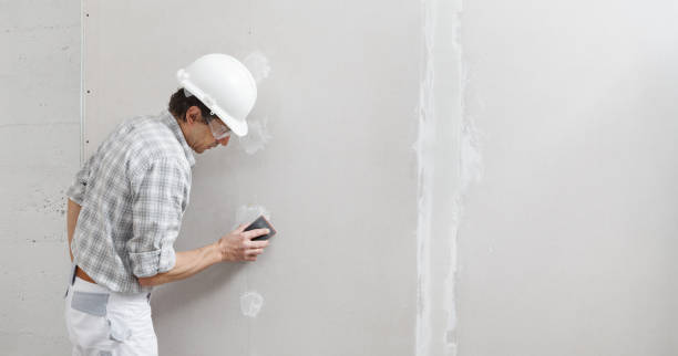 Wallpaper Removal and Painting in Belleville, IL